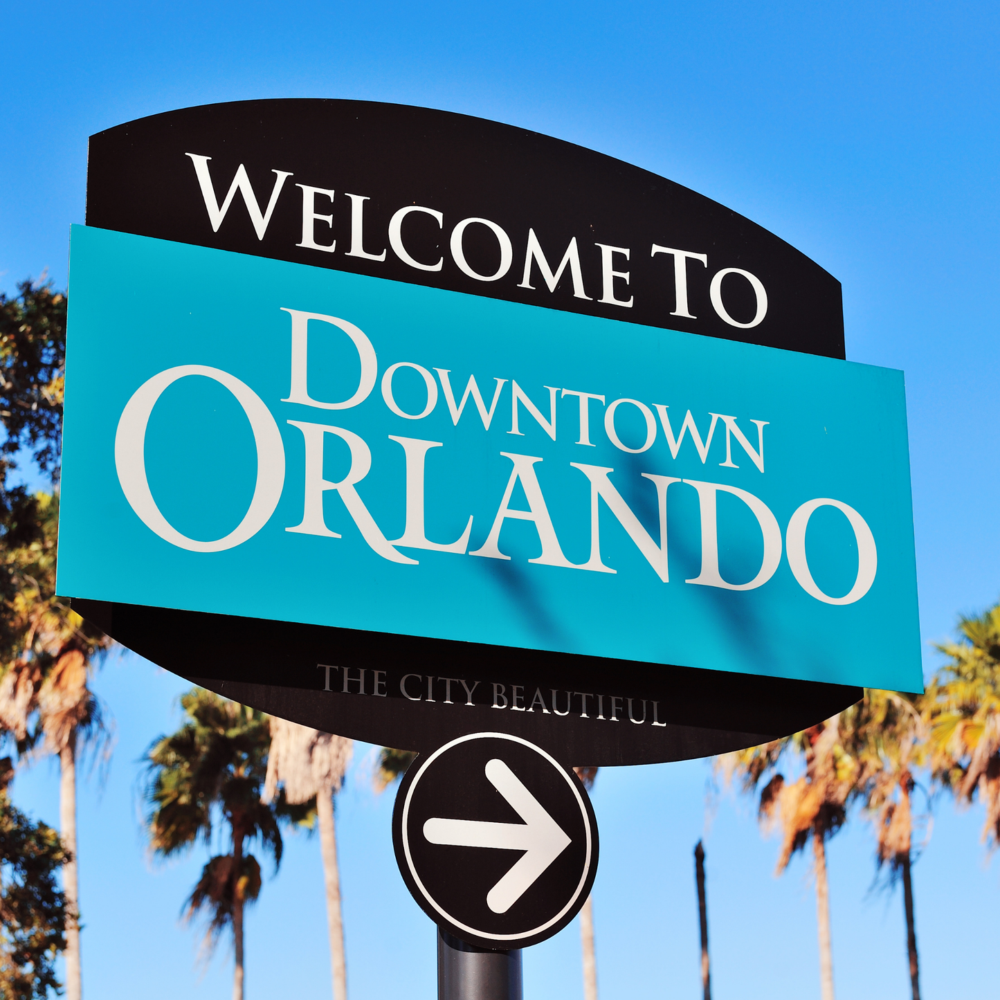 USA East Coast → Florida in 14 giorni — la guida premium pronta all’uso