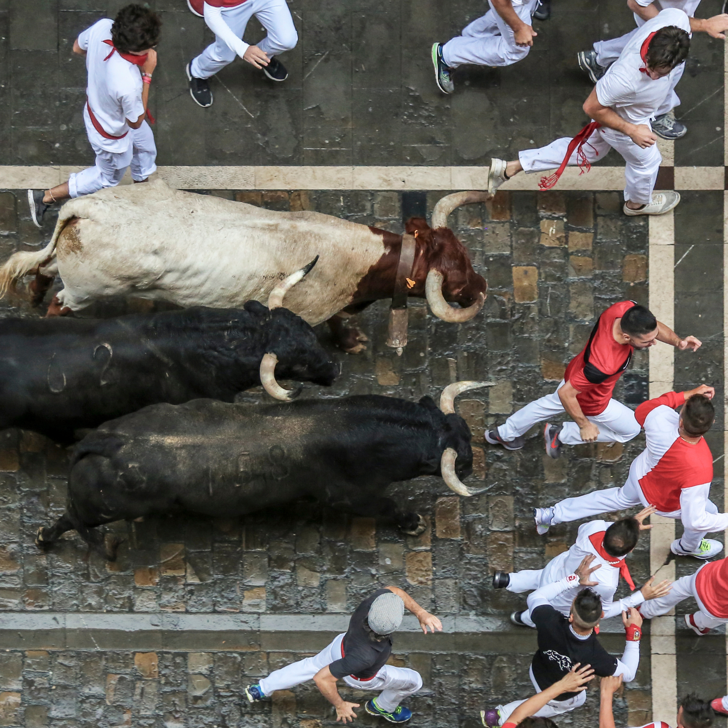 Bilbao, San Sebastián & Pamplona in 8 giorni – Guida Premium da scaricare